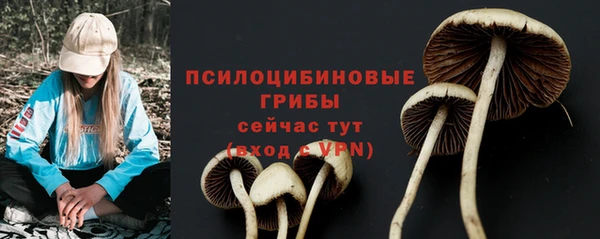 ALPHA PVP Белоозёрский