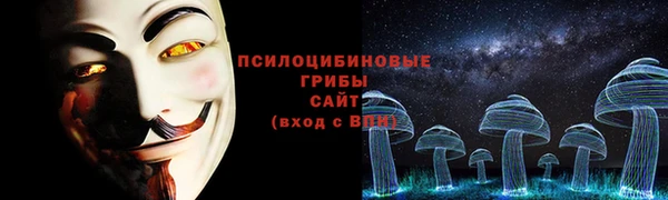 PSILOCYBIN Белокуриха
