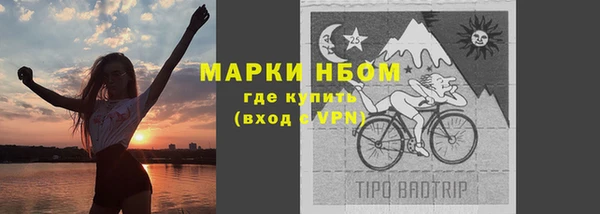 PSILOCYBIN Белокуриха