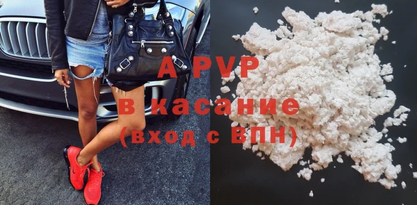PSILOCYBIN Белокуриха