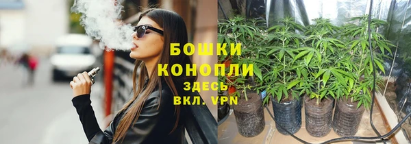 PSILOCYBIN Белокуриха