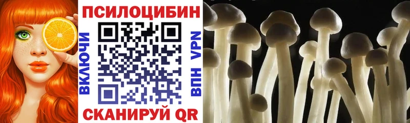 Галлюциногенные грибы Cubensis Кушва