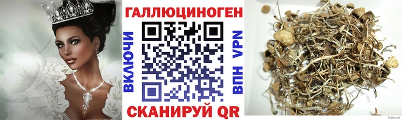 Галлюциногенные грибы мухоморы  купить наркотики цена  Кушва 